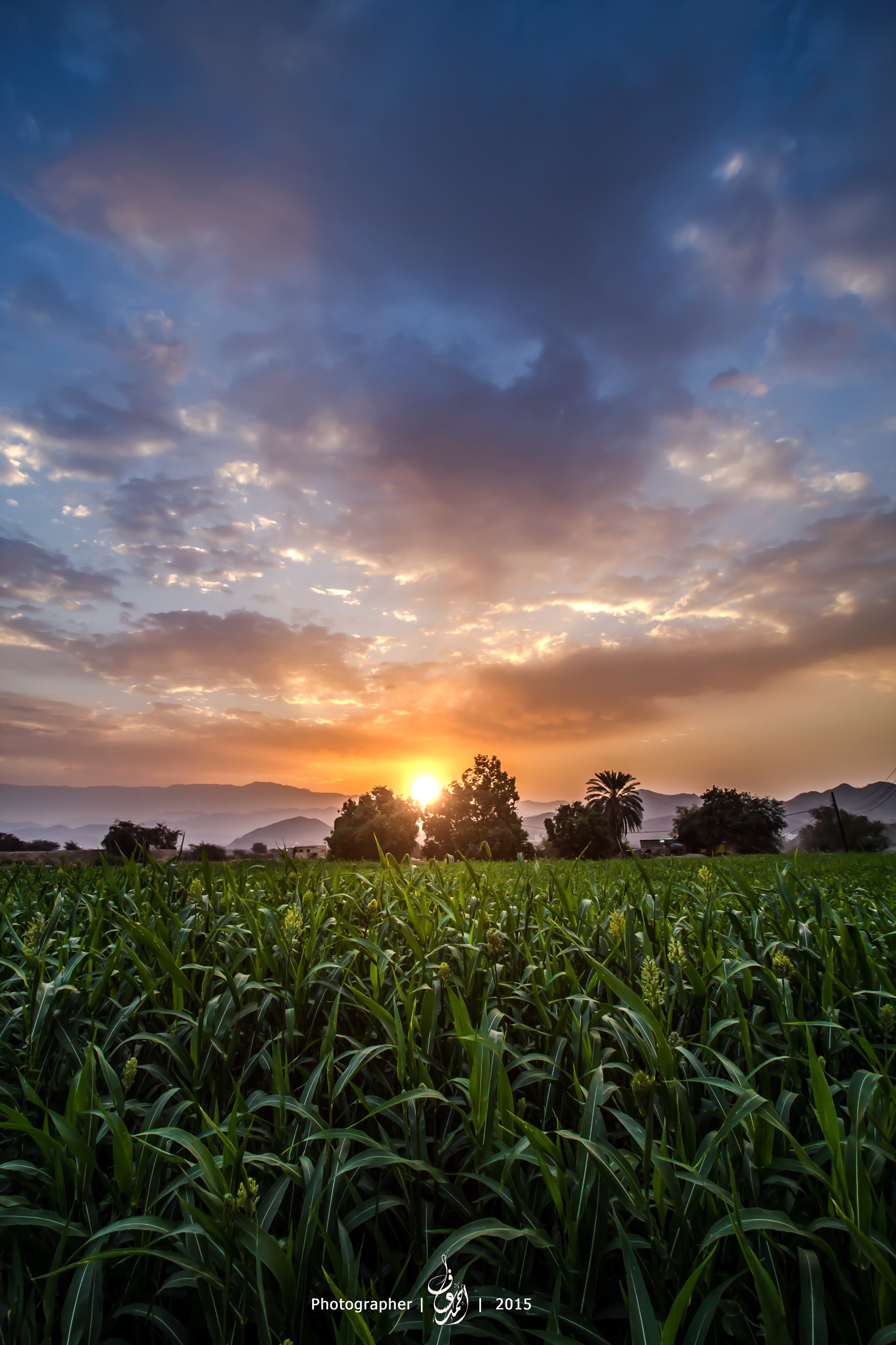 خيرات الارض