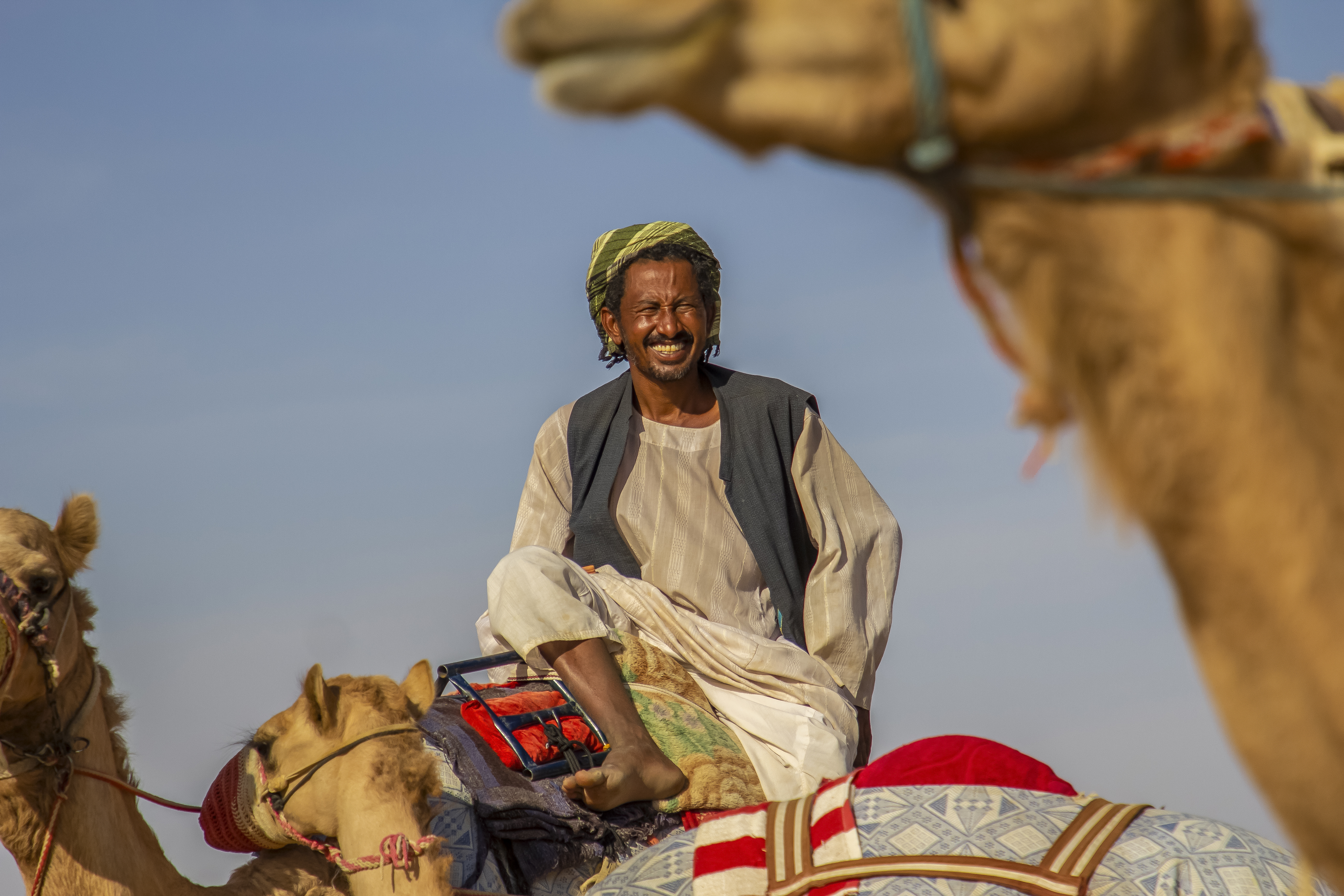 سليل الصحراء